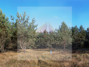 BOROWIEC